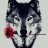 WolfJK22